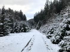 zimní cestou katastrem Újezdu